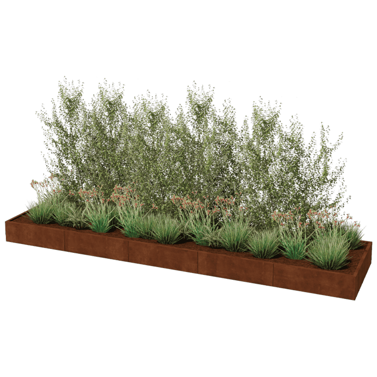 Kortena tērauda puķu kaste Texas xxl 500 x 120 cm