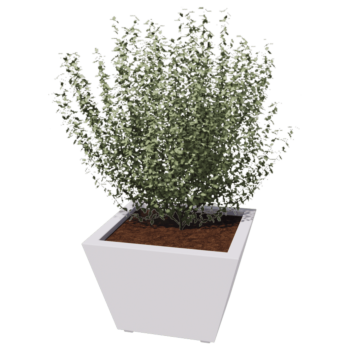 Tērauda puķu kaste - Konuss - 60 x 60 x 41,5 cm - Metināts - Cita RAL krāsa - Ar pamatplati