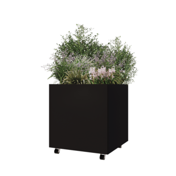 Tērauda puķu kaste - Kvadrāts - 70 x 70 x 70 cm - RAL9005 matēts (melns) - Ar pamatplati - Ar riteņiem