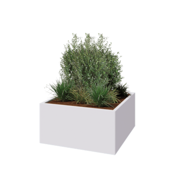 Tērauda puķu kaste - Kvadrāts - 100 x 100 x 50 cm - RAL9010 matēts (balts) - Ar pamatplati