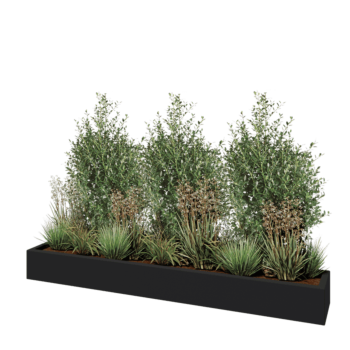 Stikla šķiedras puķu kaste - Taisnstūris - 200 x 30 x 20 cm - RAL7021 matēts (melns pelēks) - Ar dibenu