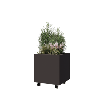 Tērauda puķu kaste - Kvadrāts - 50 x 50 x 50 cm - RAL7016 matēts (antracīta pelēks) - Ar pamatplati - Ar riteņiem