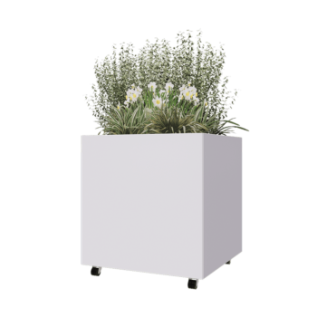 Tērauda puķu kaste - Kvadrāts - 80 x 80 x 80 cm - RAL9010 matēts (balts) - Ar pamatplati - Ar riteņiem