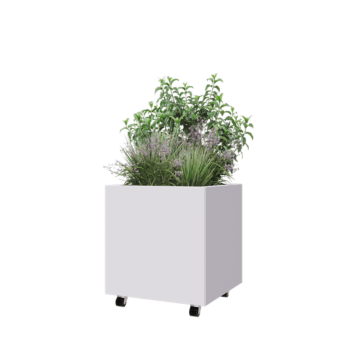 Tērauda puķu kaste - Kvadrāts - 60 x 60 x 60 cm - RAL9010 matēts (balts) - Ar pamatplati - Ar riteņiem