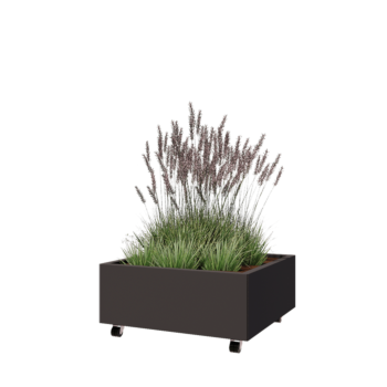 Tērauda puķu kaste - Kvadrāts - 80 x 80 x 30 cm - RAL7016 matēts (antracīta pelēks) - Ar pamatplati - Ar riteņiem