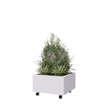 Tērauda puķu kaste - Kvadrāts - 60 x 60 x 30 cm - RAL9010 matēts (balts) - Ar pamatplati - Ar riteņiem