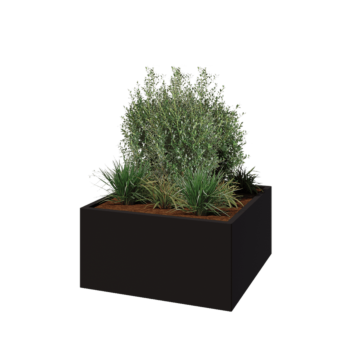 Tērauda puķu kaste - Kvadrāts - 100 x 100 x 50 cm - RAL9005 matēts (melns) - Bez pamatplates