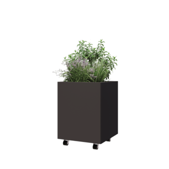 Tērauda puķu kaste - Kvadrāts - 50 x 50 x 60 cm - RAL7016 matēts (antracīta pelēks) - Ar pamatplati - Ar riteņiem