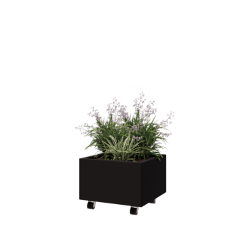 Tērauda puķu kaste - Kvadrāts - 50 x 50 x 30 cm - RAL9005 matēts (melns) - Ar pamatplati - Ar riteņiem