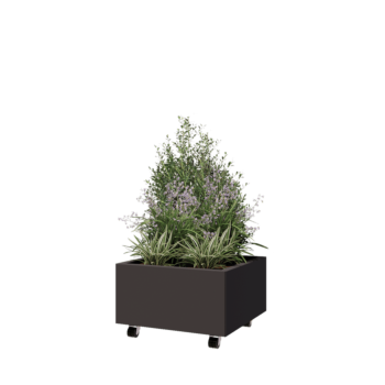 Tērauda puķu kaste - Kvadrāts - 60 x 60 x 30 cm - RAL7016 matēts (antracīta pelēks) - Ar pamatplati - Ar riteņiem