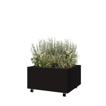 Tērauda puķu kaste - Kvadrāts - 80 x 80 x 40 cm - RAL9005 matēts (melns) - Ar pamatplati - Ar riteņiem