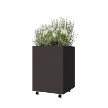 Tērauda puķu kaste - Kvadrāts - 60 x 60 x 80 cm - RAL7016 matēts (antracīta pelēks) - Ar pamatplati - Ar riteņiem