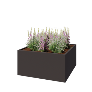 Tērauda puķu kaste - Kvadrāts - 120 x 120 x 60 cm - RAL7016 matēts (antracīta pelēks) - Ar pamatplati