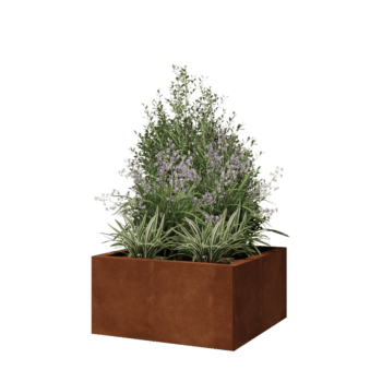 Kortena tērauda puķu kaste - Kvadrāts - 60 x 60 x 30 cm - Ar pamatplati