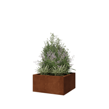 Kortena tērauda puķu kaste - Kvadrāts - 60 x 60 x 30 cm - Bez pamatplates