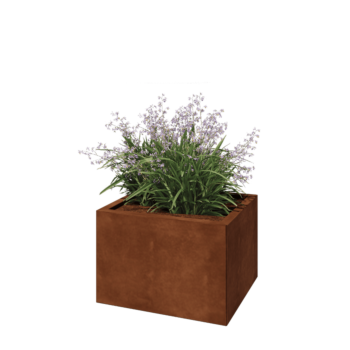 Kortena tērauda puķu kaste - Taisnstūris - 60 x 50 x 40 cm - Ar pamatplati