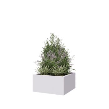 Tērauda puķu kaste - Kvadrāts - 60 x 60 x 30 cm - RAL9010 matēts (balts) - Bez pamatplates