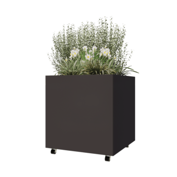 Tērauda puķu kaste - Kvadrāts - 80 x 80 x 80 cm - Cita RAL krāsa - Ar pamatplati - Ar riteņiem