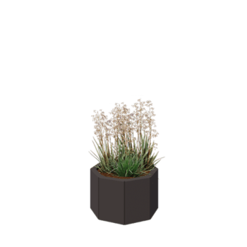 Tērauda puķu kaste - Astoņstūris - 48,3 x 48,3 x 30 cm - RAL7016 matēts (antracīta pelēks) - Ar pamatplati