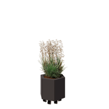 Tērauda puķu kaste - Sešstūris - 39,3 x 34,6 x 30 cm - RAL7016 matēts (antracīta pelēks) - Ar pamatplati - Ar riteņiem