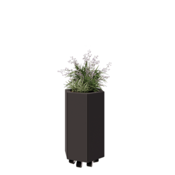 Tērauda puķu kaste - Sešstūris - 39,3 x 34,6 x 60 cm - RAL7016 matēts (antracīta pelēks) - Ar pamatplati - Ar riteņiem