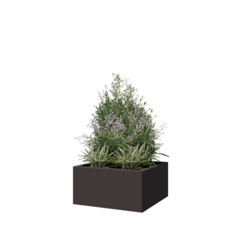 Tērauda puķu kaste - Kvadrāts - 60 x 60 x 30 cm - RAL7016 matēts (antracīta pelēks) - Ar pamatplati