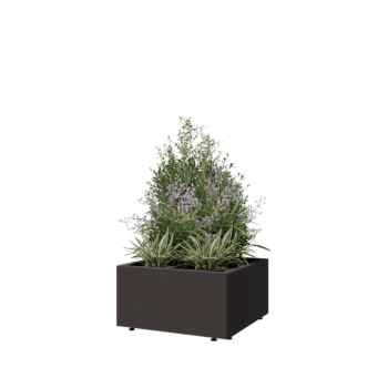 Tērauda puķu kaste - Kvadrāts - 60 x 60 x 30 cm - RAL7016 matēts (antracīta pelēks) - Ar pamatplati - Ar kājām