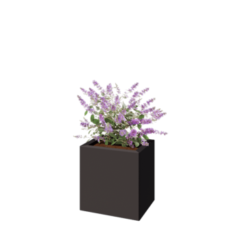 Tērauda puķu kaste - Taisnstūris - 40 x 30 x 40 cm - RAL7016 matēts (antracīta pelēks) - Ar pamatplati