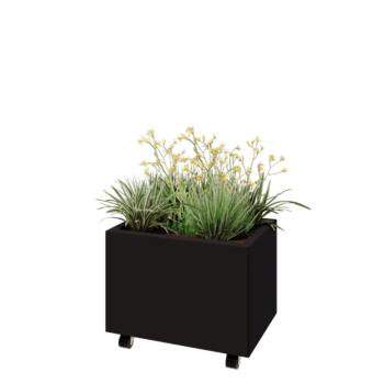 Tērauda puķu kaste - Taisnstūris - 60 x 40 x 40 cm - RAL9005 matēts (melns) - Ar pamatplati - Ar riteņiem