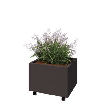 Tērauda puķu kaste - Taisnstūris - 60 x 50 x 40 cm - RAL7016 matēts (antracīta pelēks) - Ar pamatplati - Ar riteņiem