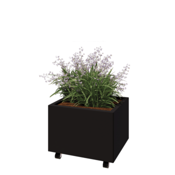 Tērauda puķu kaste - Taisnstūris - 60 x 50 x 40 cm - RAL9005 matēts (melns) - Ar pamatplati - Ar riteņiem