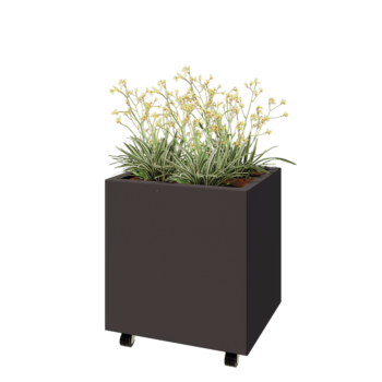 Tērauda puķu kaste - Taisnstūris - 60 x 50 x 60 cm - RAL7016 matēts (antracīta pelēks) - Ar pamatplati - Ar riteņiem