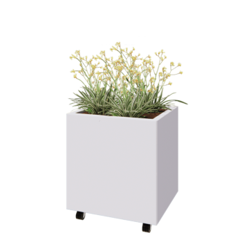 Tērauda puķu kaste - Taisnstūris - 60 x 50 x 60 cm - RAL9010 matēts (balts) - Ar pamatplati - Ar riteņiem