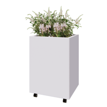 Tērauda puķu kaste - Taisnstūris - 60 x 50 x 80 cm - RAL9010 matēts (balts) - Ar pamatplati - Ar riteņiem