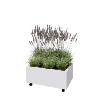 Tērauda puķu kaste - Taisnstūris - 80 x 50 x 30 cm - RAL9010 matēts (balts) - Ar pamatplati - Ar riteņiem