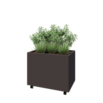 Tērauda puķu kaste - Taisnstūris - 80 x 50 x 60 cm - RAL7016 matēts (antracīta pelēks) - Ar pamatplati - Ar riteņiem