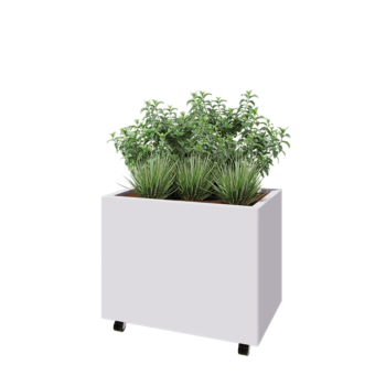 Tērauda puķu kaste - Taisnstūris - 80 x 50 x 60 cm - RAL9010 matēts (balts) - Ar pamatplati - Ar riteņiem