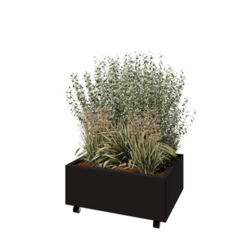 Tērauda puķu kaste - Taisnstūris - 80 x 60 x 30 cm - RAL9005 matēts (melns) - Ar pamatplati - Ar riteņiem