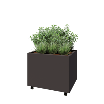 Tērauda puķu kaste - Taisnstūris - 80 x 60 x 60 cm - RAL7016 matēts (antracīta pelēks) - Ar pamatplati - Ar riteņiem