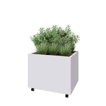 Tērauda puķu kaste - Taisnstūris - 80 x 60 x 60 cm - RAL9010 matēts (balts) - Ar pamatplati - Ar riteņiem