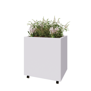 Tērauda puķu kaste - Taisnstūris - 80 x 60 x 80 cm - RAL9010 matēts (balts) - Ar pamatplati - Ar riteņiem