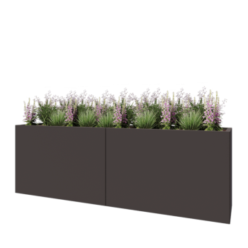 Tērauda puķu kaste XXL - Taisnstūris - 240 x 50 x 80 cm - RAL7016 matēts (antracīta pelēks) - Bez pamatplates