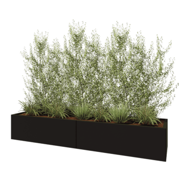 Tērauda puķu kaste XXL - Taisnstūris - 240 x 60 x 40 cm - RAL9005 matēts (melns) - Bez pamatplates