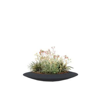 Stikla šķiedras puķu kaste - Bļoda - Ø 120 x 20 cm - RAL7021 matēts (melns pelēks) - Ar dibenu