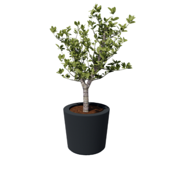 Stikla šķiedras puķu kaste - Konisks - Ø 63 x 52 cm - RAL7021 matēts (melns pelēks) - Ar dibenu