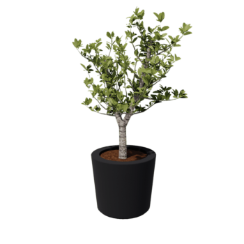 Stikla šķiedras puķu kaste - Konisks - Ø 63 x 52 cm - RAL7021 matēts (melns pelēks) - Ar dibenu