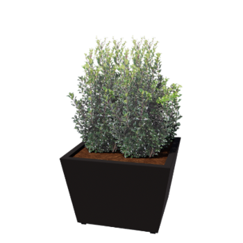 Tērauda puķu kaste - Konuss - 80 x 80 x 51,5 cm - Metināts - RAL9005 matēts (melns) - Ar pamatplati