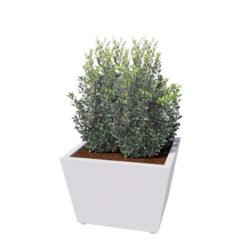 Tērauda puķu kaste - Konuss - 80 x 80 x 51,5 cm - Metināts - RAL9010 matēts (balts) - Ar pamatplati