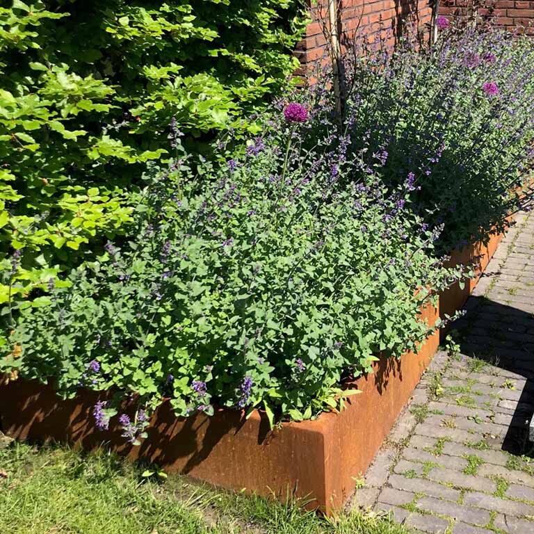 Kortena tērauda atbalsta siena taisns 100 cm (augstums 50 cm)