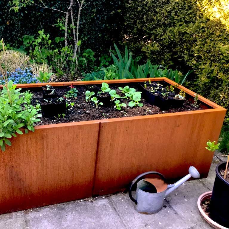 Kortena tērauda puķu kaste Texas xxl 200 x 80 cm
